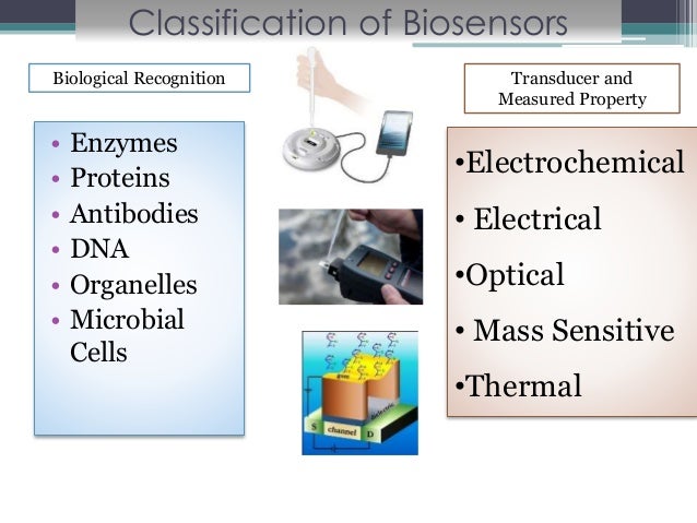 Biosensors for Food Analysis